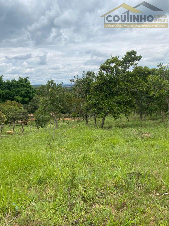 WhatsApp Image 2026-01-29 at 20.11.49 (1).jpeg